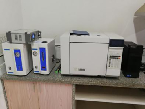 Gas chromatograph